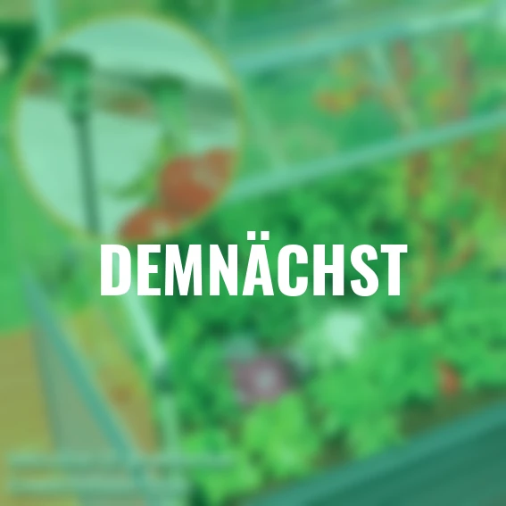 Hochbeet Plant Inn, 118 x 118 x 148 cm, anthrazit, silber