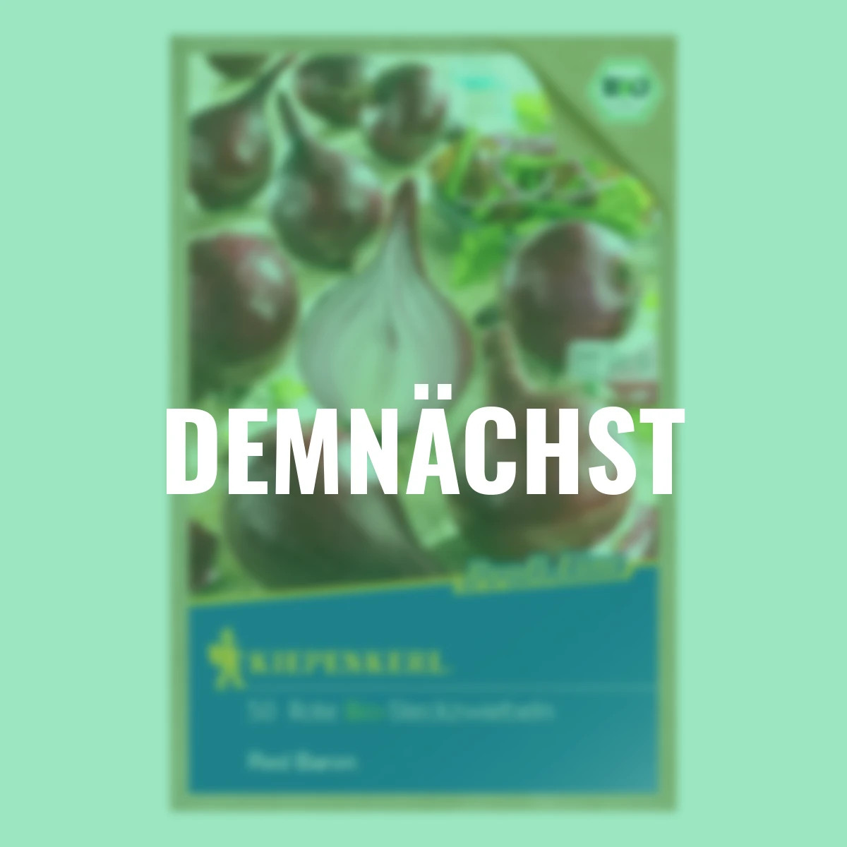 Steckzwiebel BIO Red Baron, 50 Stück