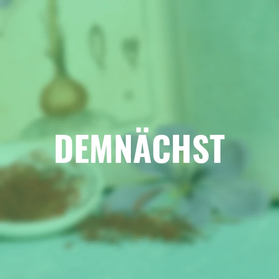 Safrankrokus, herbstblühend