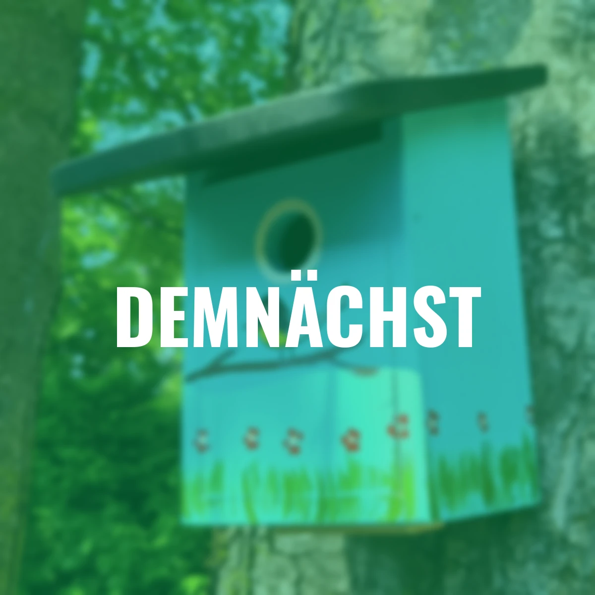 Nistkasten Kohlmeisenparadies, blau