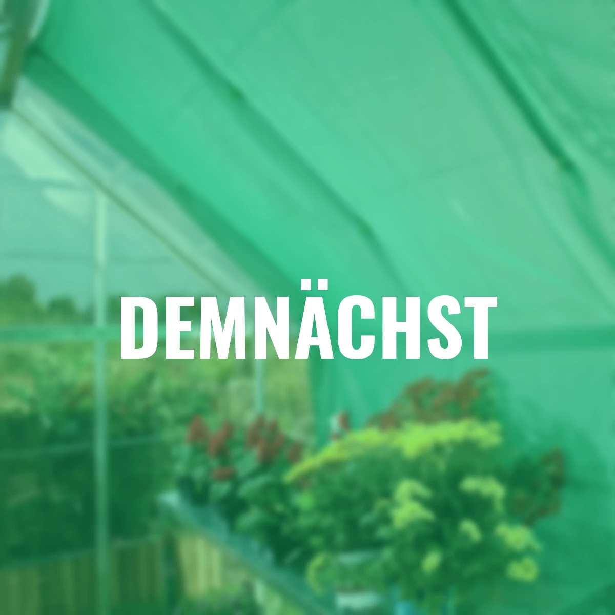 Schattennetz, 2,30 x2,65 m, grün