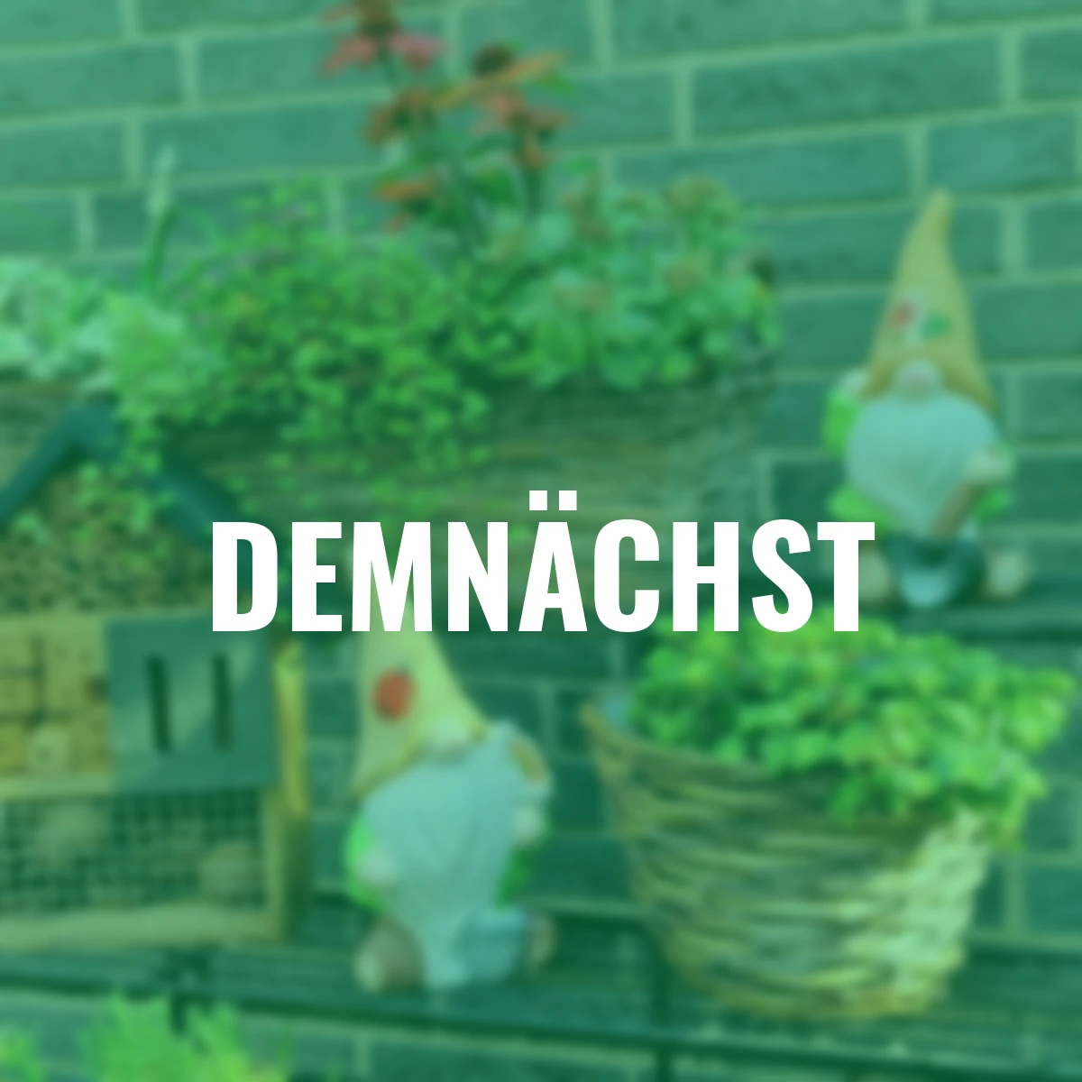 Wichtel mit Blütenmütze, 2er Set, 23,5 cm