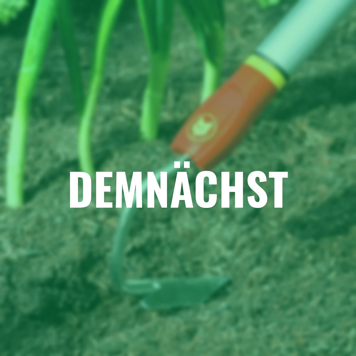 Lüfter multi-star(R) BI-M