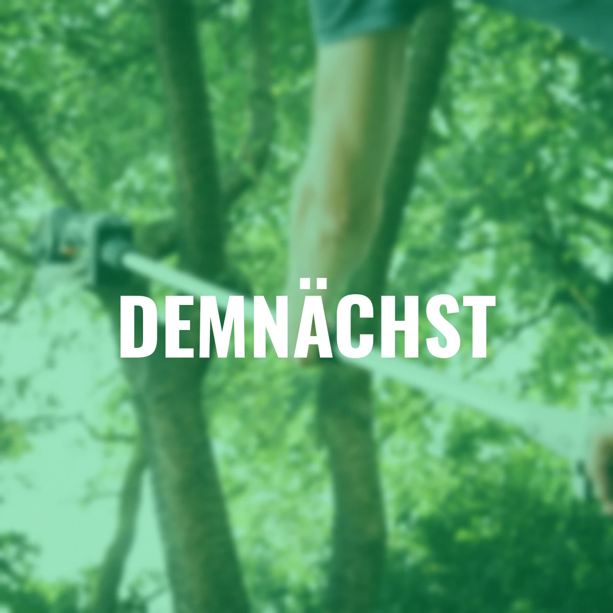 Nexxsaw Verlängerungsstiel 1,25m mit Schulterband