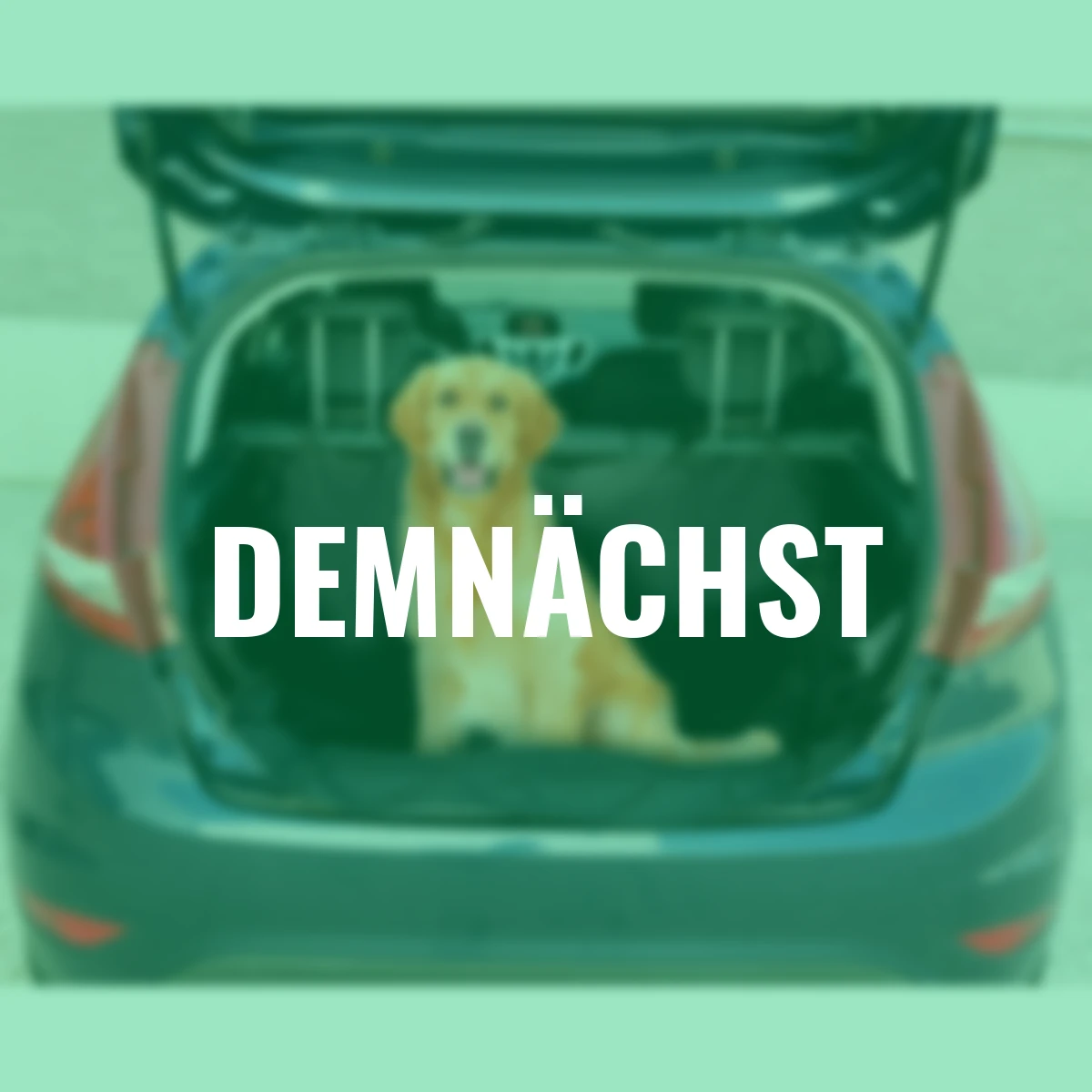 Hunde Kofferraumschutz, schwarz, 155x104x33 cm