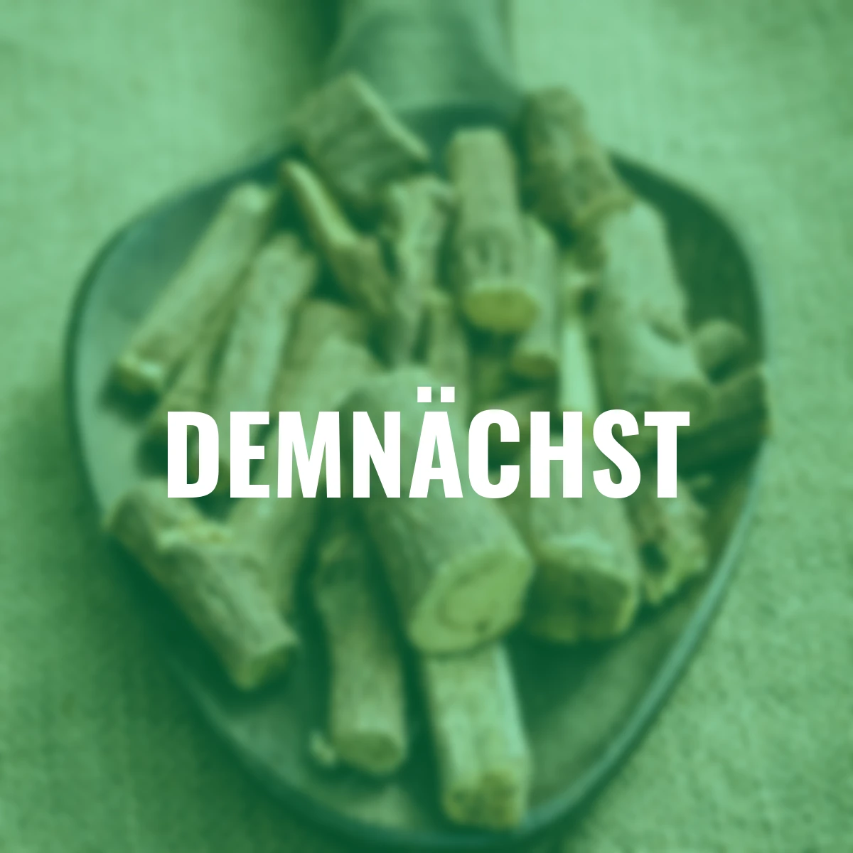 Süßholz - Lakritzesamen