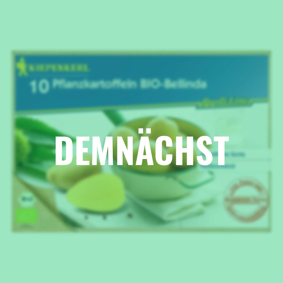 BIO Kartoffel Bellinda, 10 Stück