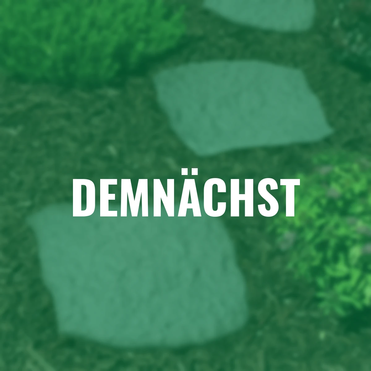 Trittstein Naturstein, 4er-Set, 45 x 55 cm, Gummi, grau