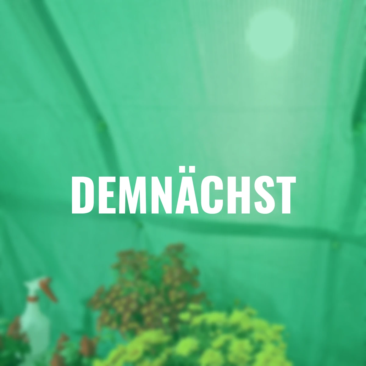 Schattennetz, 2,30 x2,65 m, grün