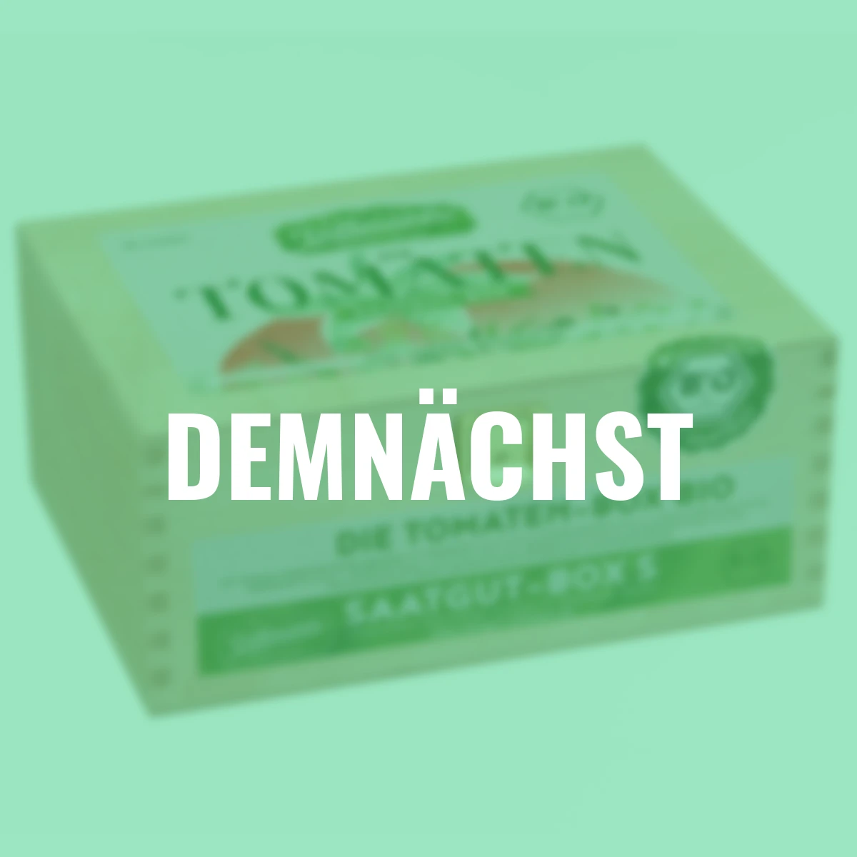 Saatgut-Holzbox Tomaten, 7 BIO-Saatgut-Sorten