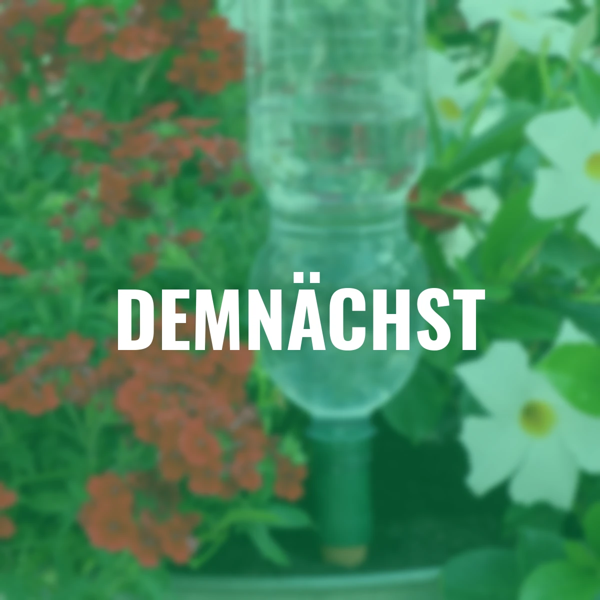 Flaschenadapter Easy