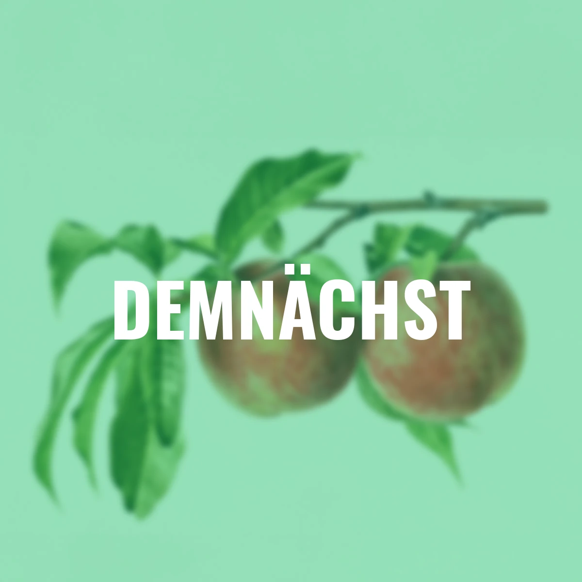 Ural-Pfirsich Wunder von Perm