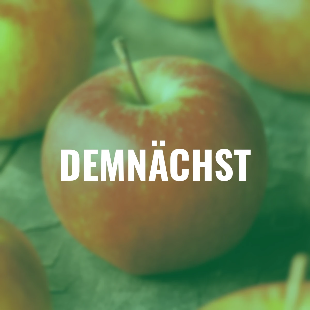 Säulen-Apfel Rondo®