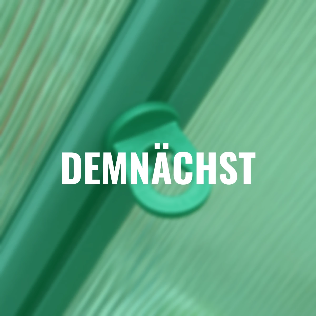 Gewächshaus-Clips, 10 Stück