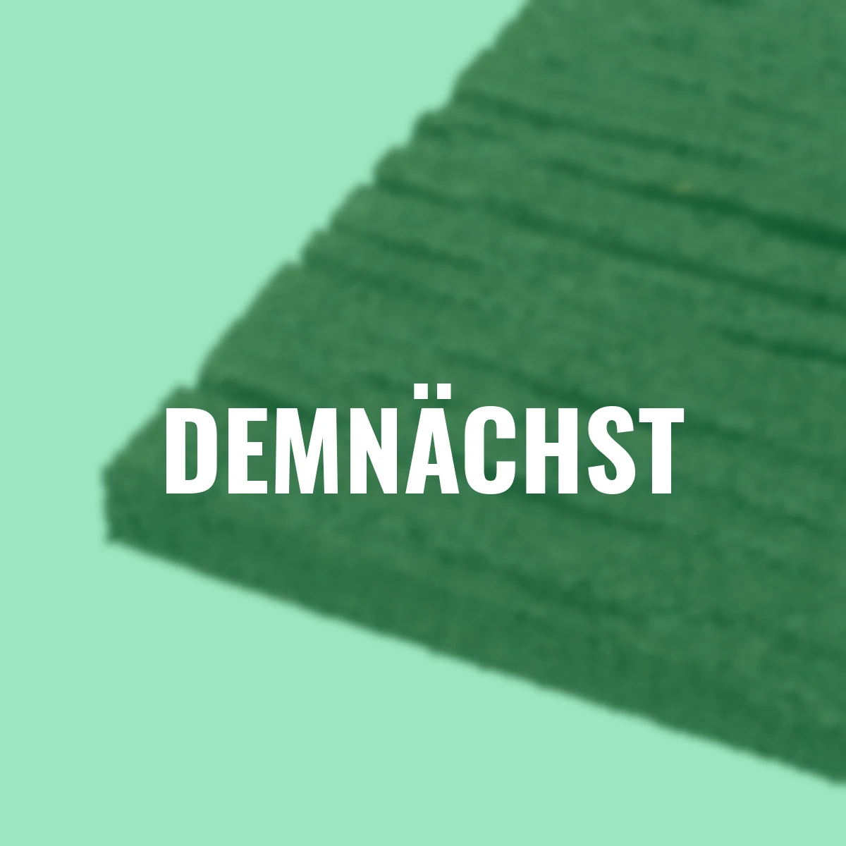 Trittstein Bahnschwelle, 4er-Set, 25x60 cm, braun