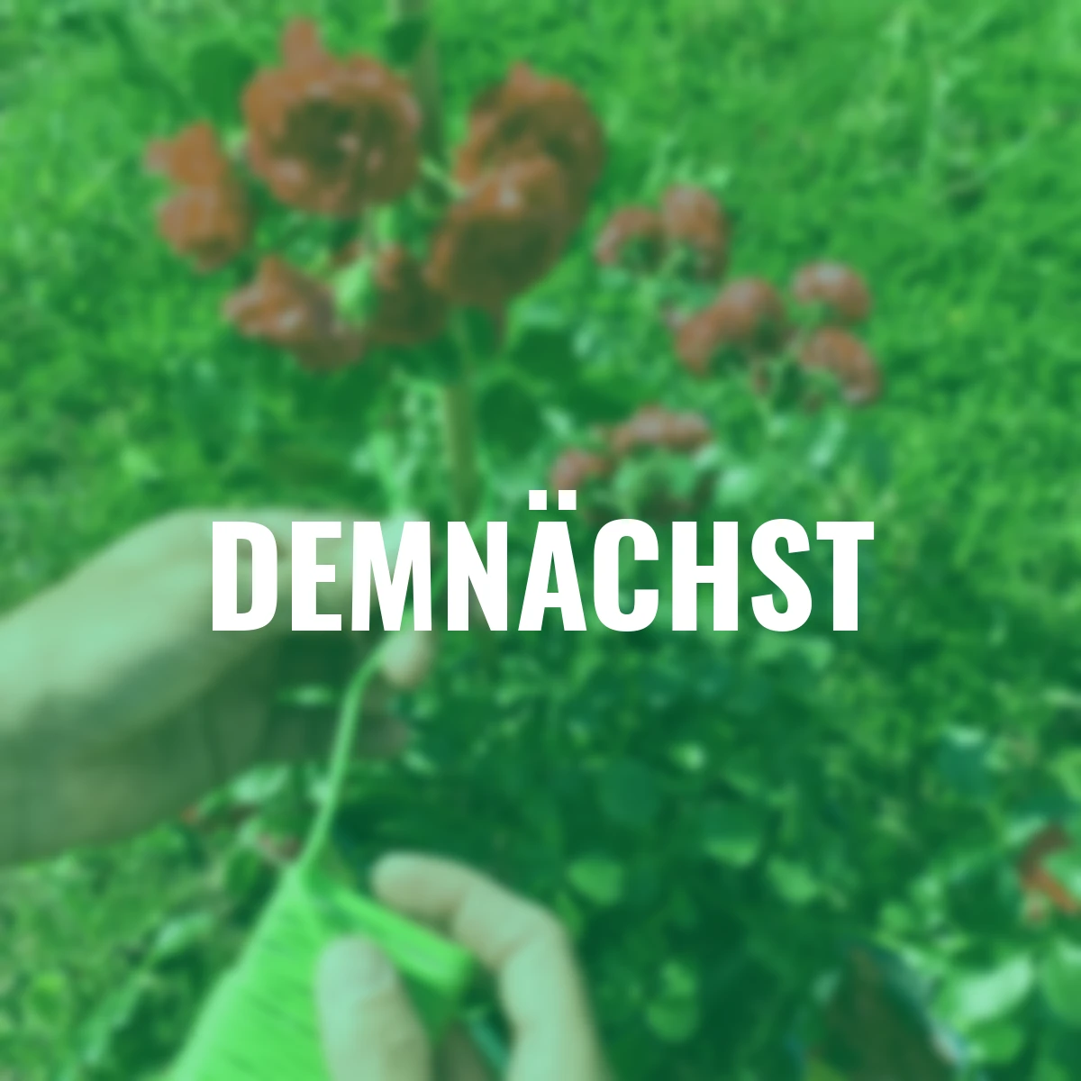 Bindedraht mit Gummiummantelung, ca. 5 m