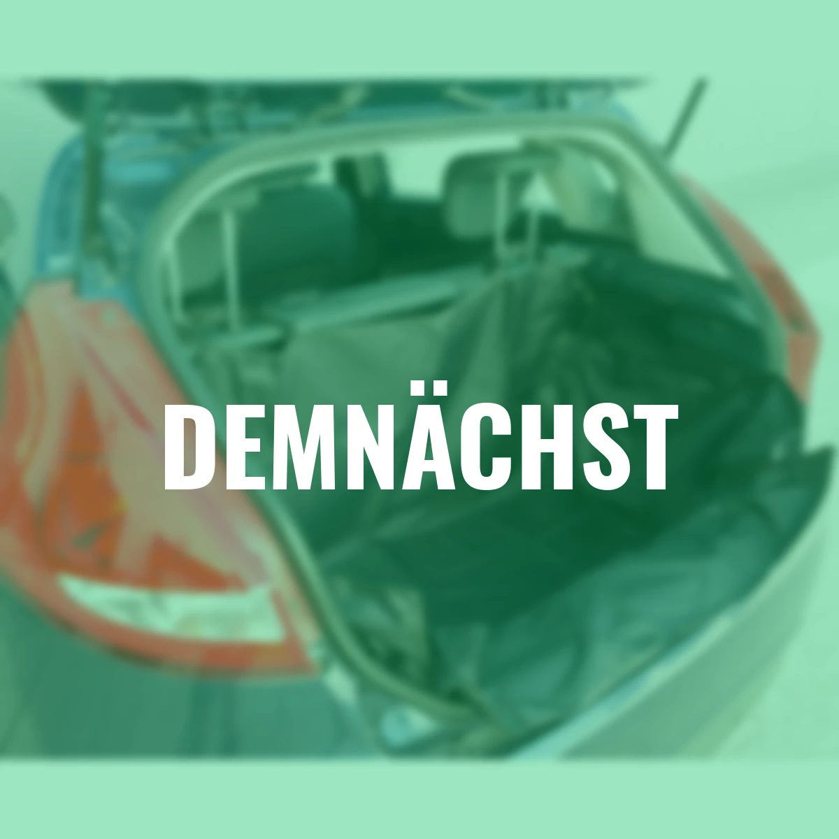 Hunde Kofferraumschutz, schwarz, 155x104x33 cm