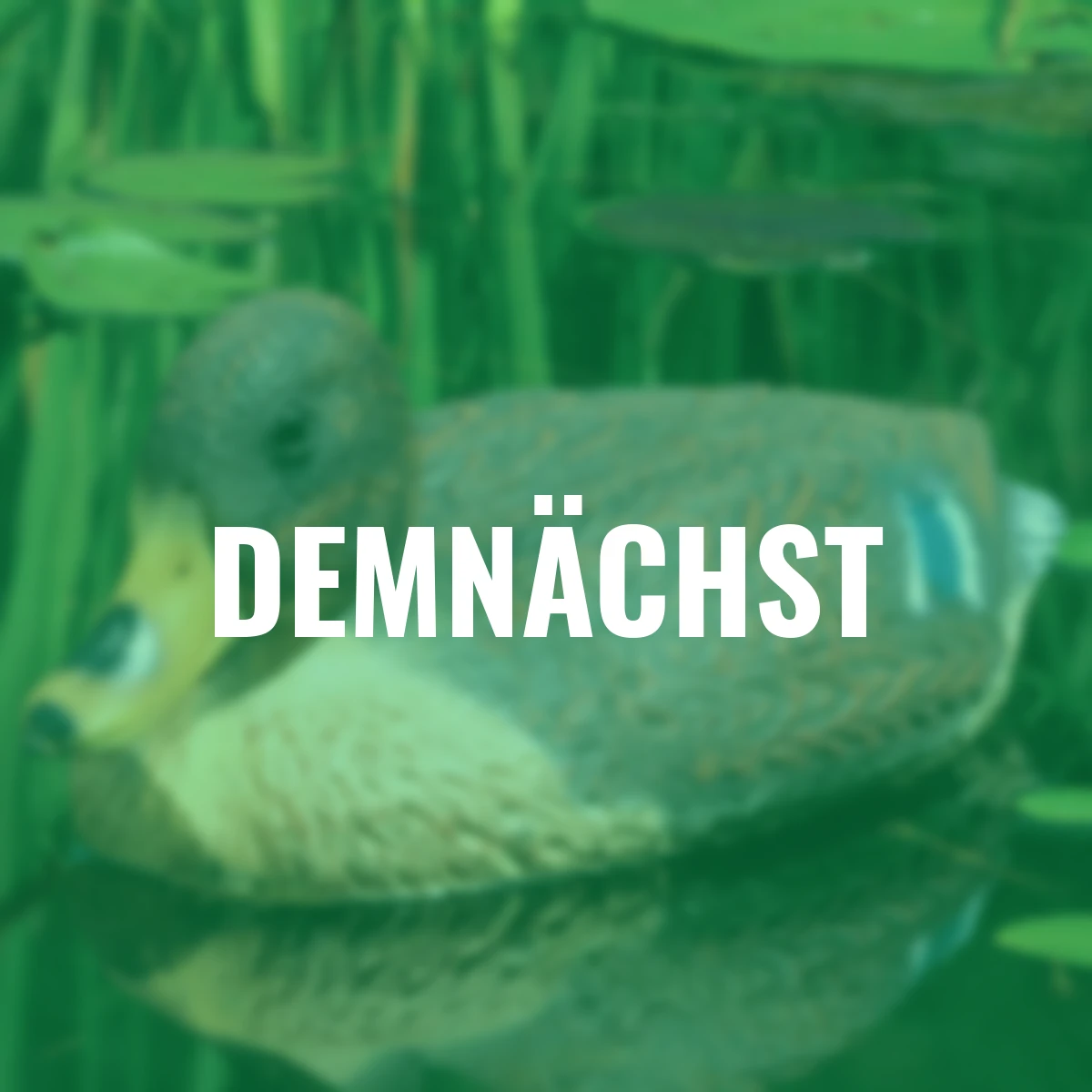 Teichfigur Schwimmente Stockente, B ca. 35 cm