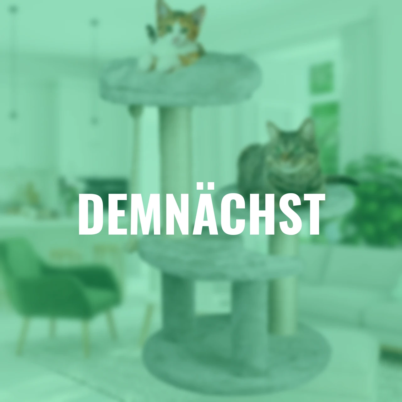 Katzenkratzbaum, grau, 62x40x40 cm