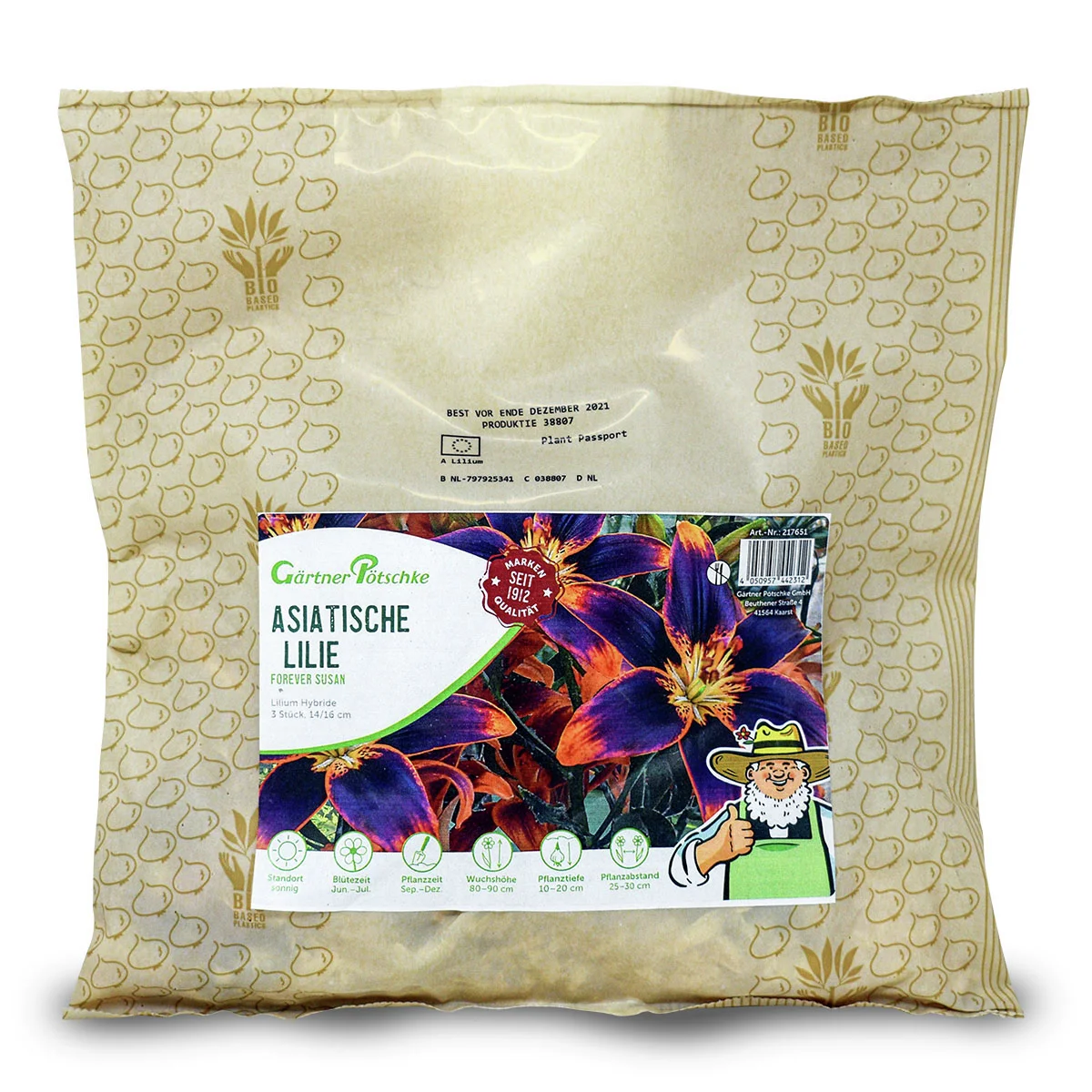 Asiatische Lilie Forever Susan