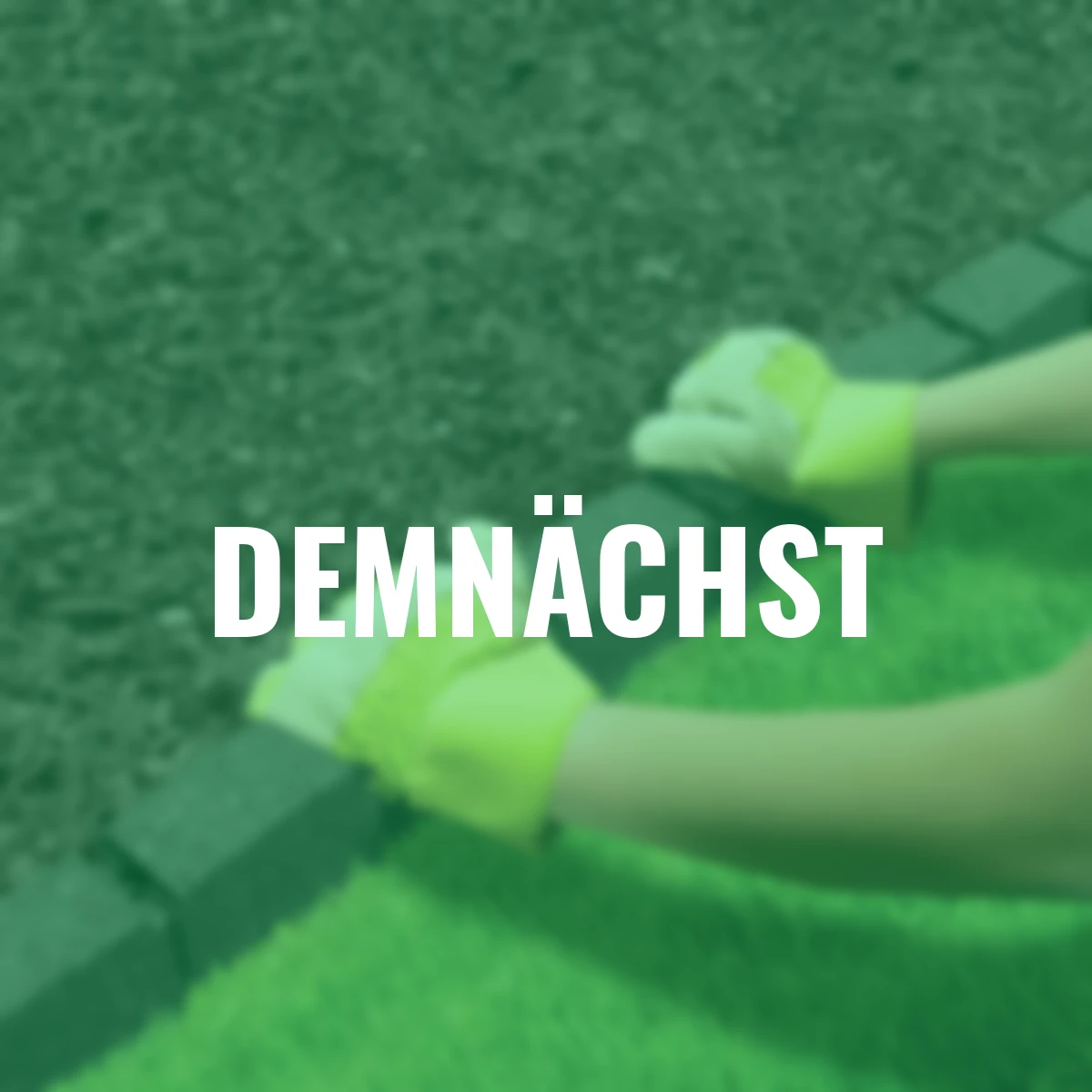 Rasenkante Stein 4er-Set, 480 cm, grau