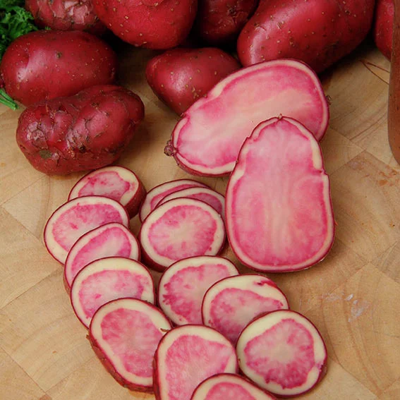 Kartoffel Heiderot, 5 Stück