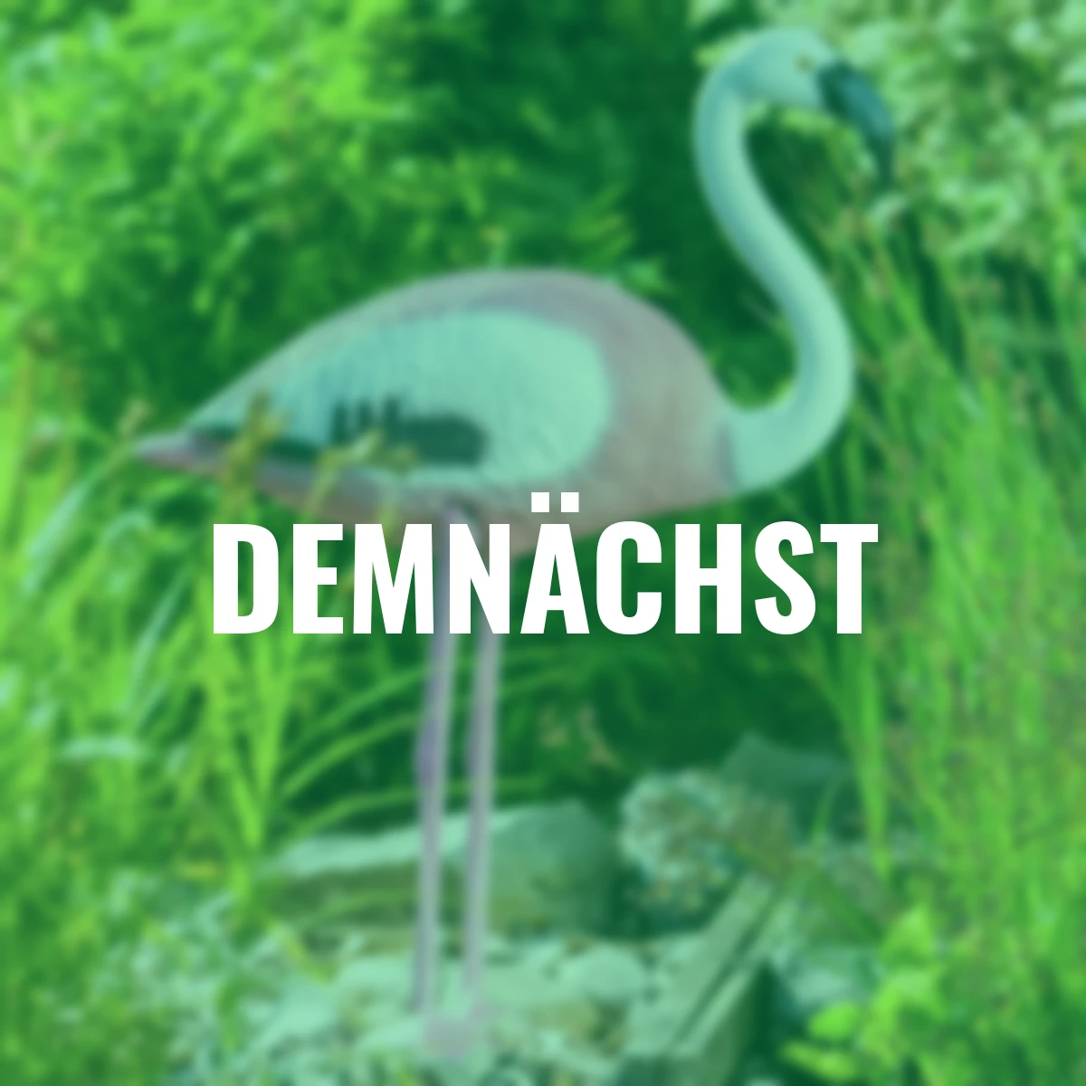 Teichfigur Flamingo