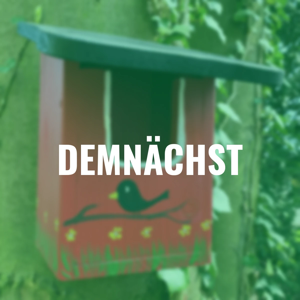 Nistkasten Amselparadies