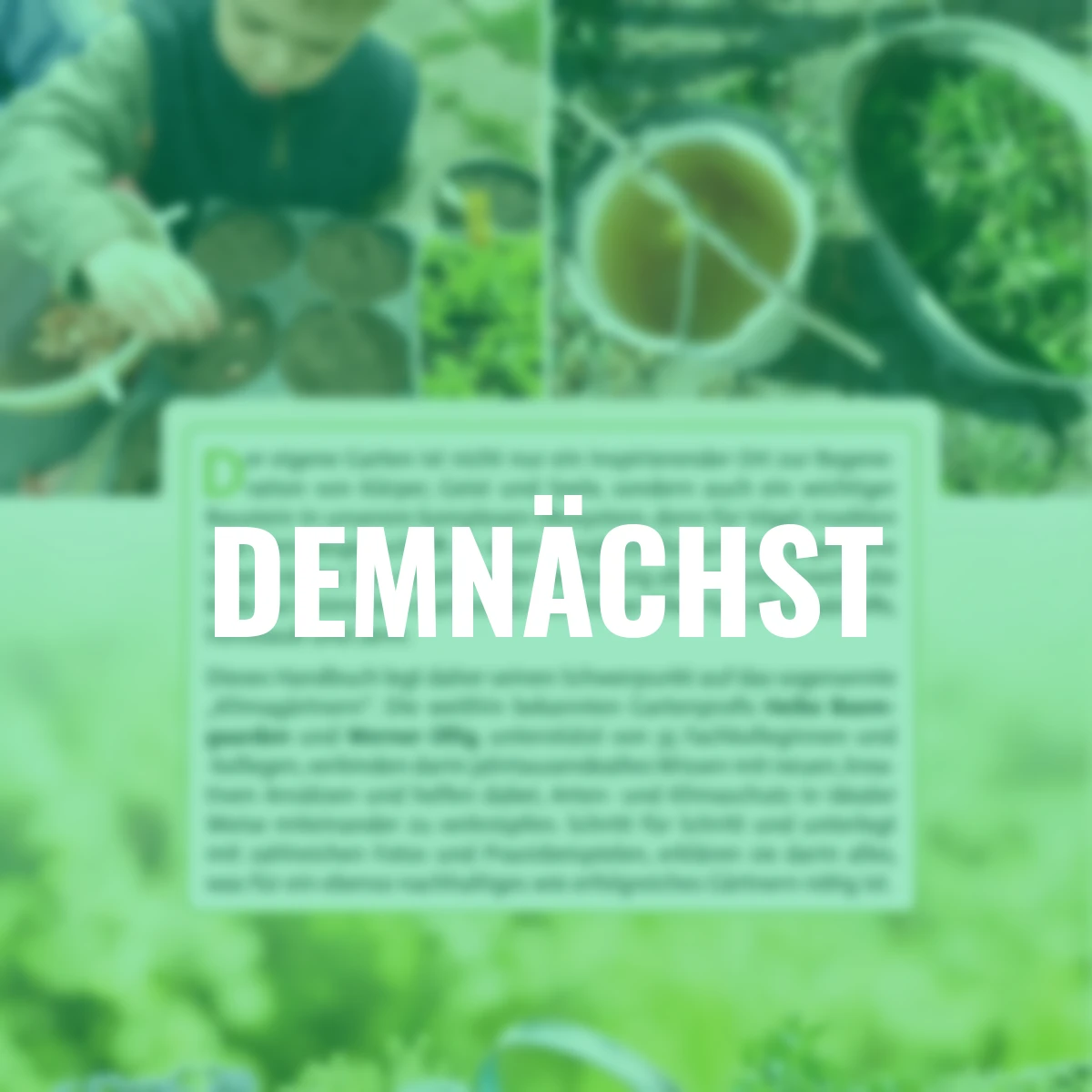 Der klimafreundliche Garten: So geht‘s!