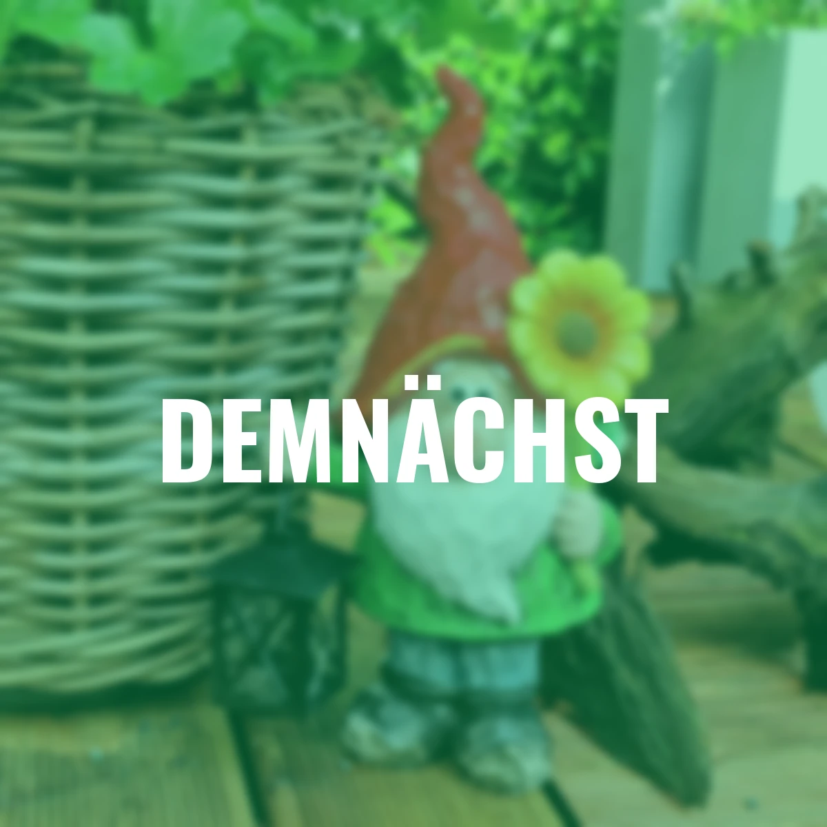 Zwerg mit Blume und Laterne, 37,5 cm