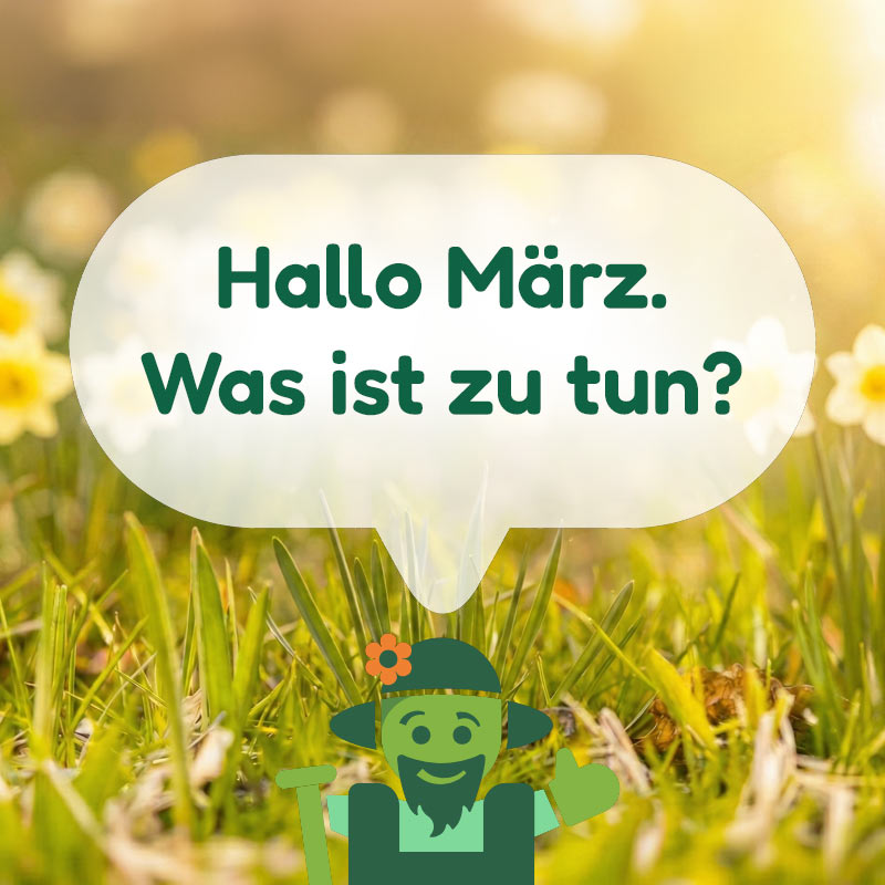 Was ist zu tun im Februar