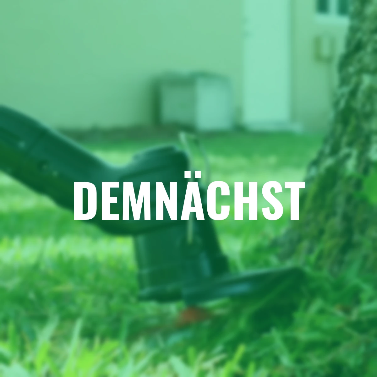 Rasentrimmer Bionic, teleskopierbar, Lithium-Ionen-Akku