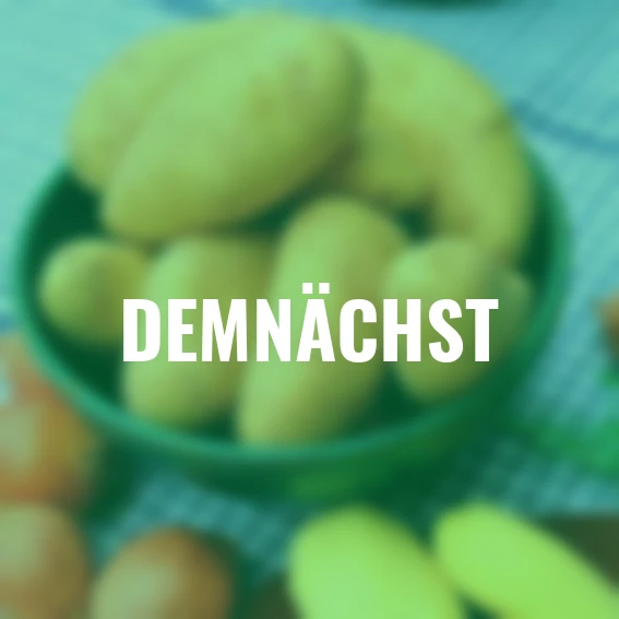 Kartoffel Cilena, 10 Stück