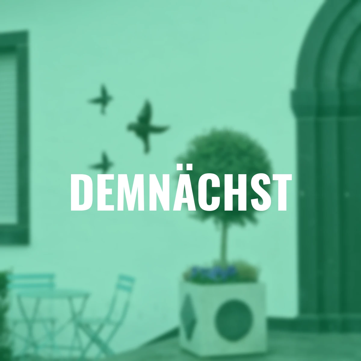 Deko-Vögel, 3er Set, schwarz