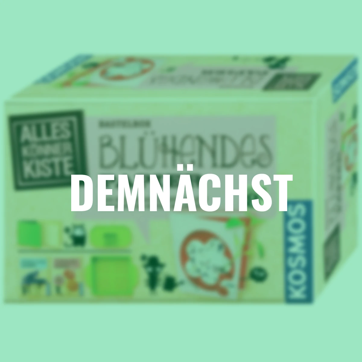 AllesKönnerKiste Blühendes Papier