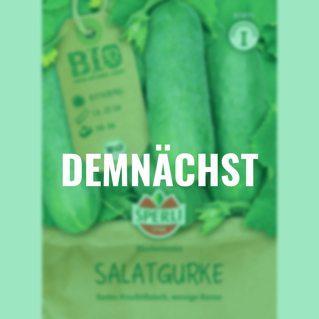 BIO Gurkensamen Marketmore