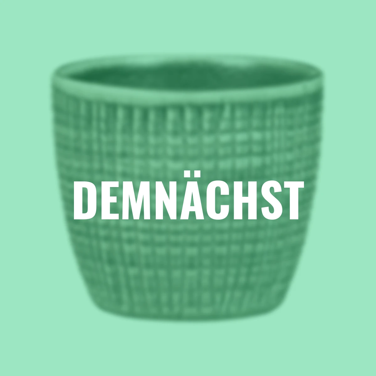 3er-Set Keramik-Übertöpfe 6cm, Grau