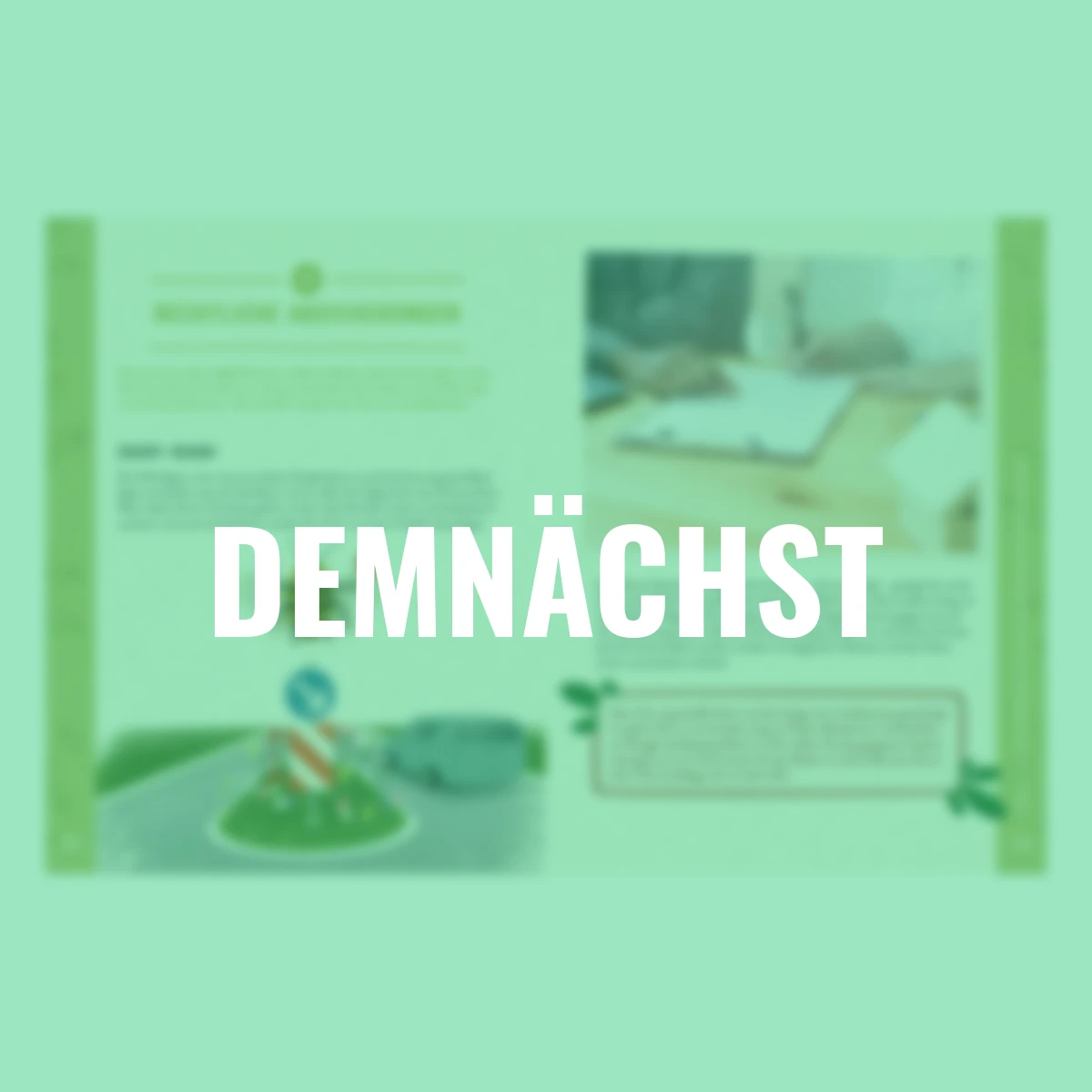 Die Insektenwiese: So summt & brummt es garantiert!