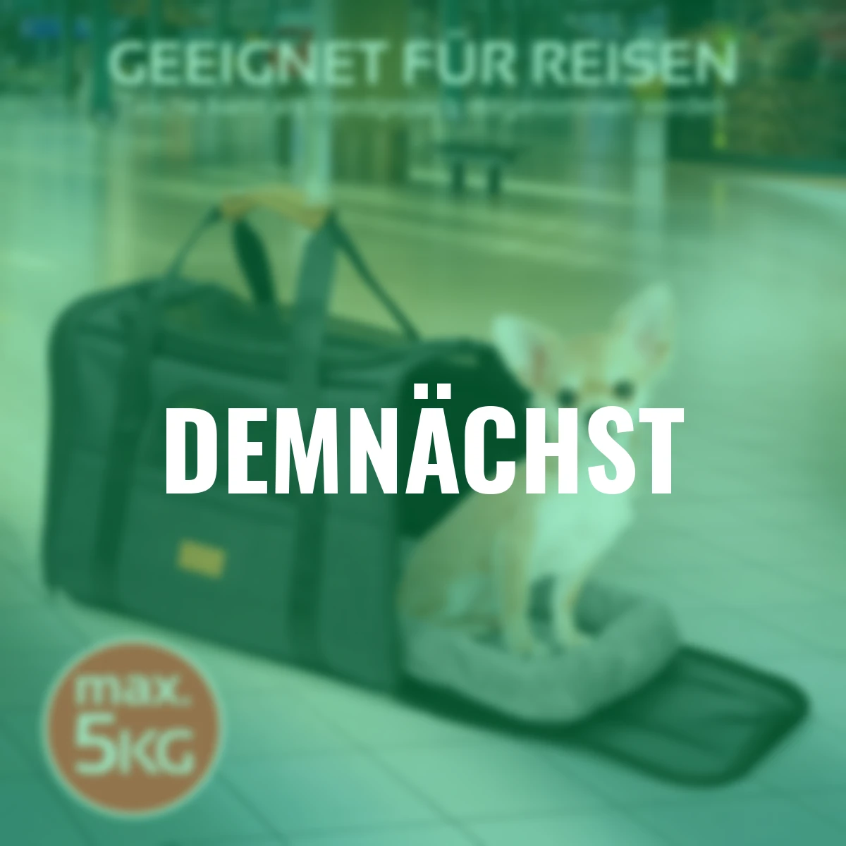 Reisetasche für Hund und Katze bis 5 kg, schwarz, 44x31x34 cm