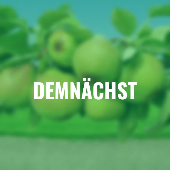 Säulen-Birne Obelisk®