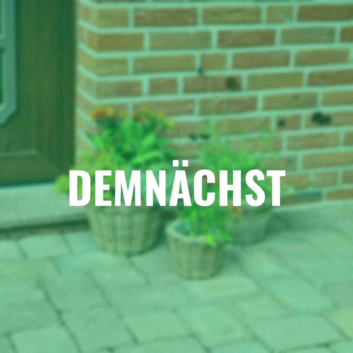 Rattan-Pflanztopf, rund, 3er-Set, natur