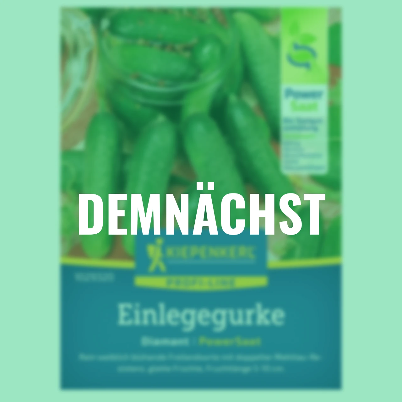 Gurke Diamant PowerSaat