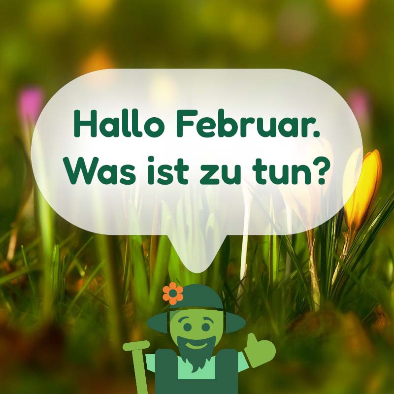 Was ist zu tun im Februar