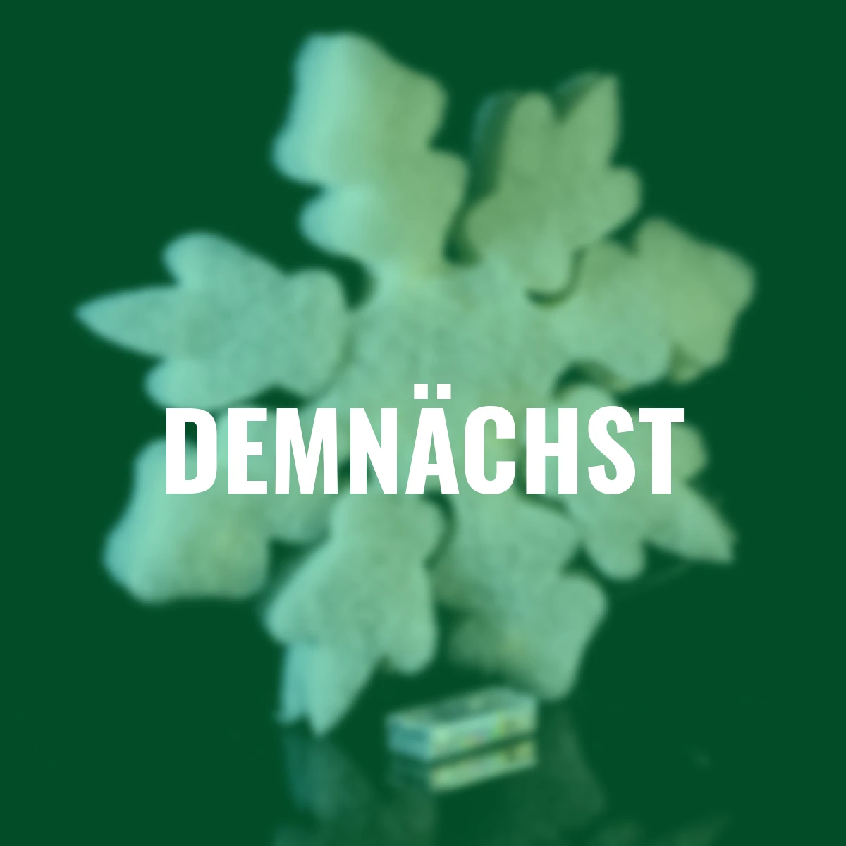 LED-Lichterkette, Eisstern