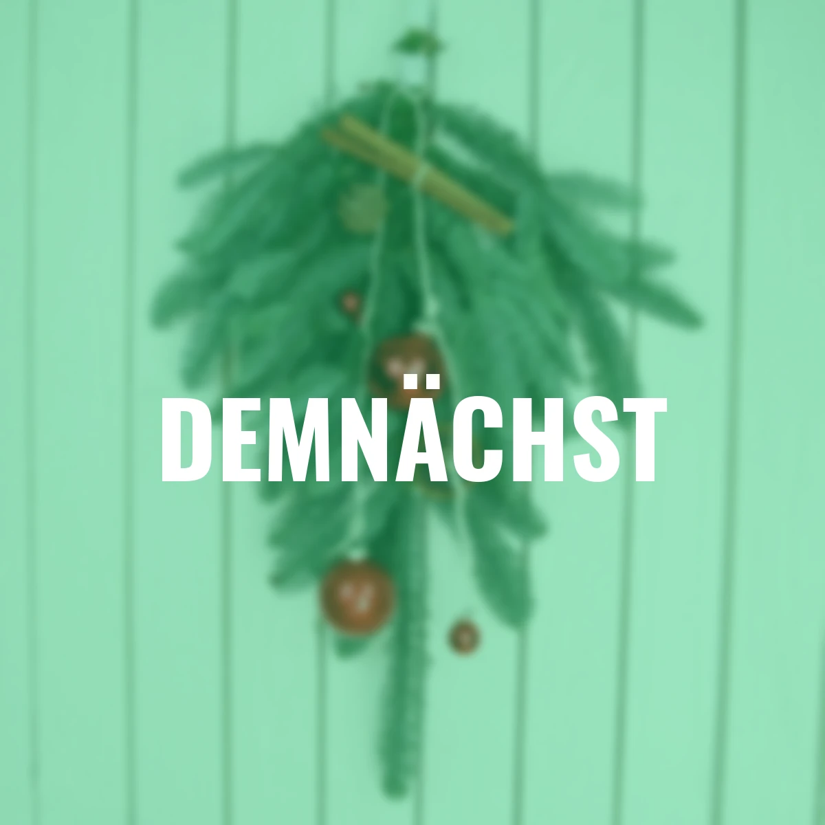 Nobilis-Tanne, Bund 500 g