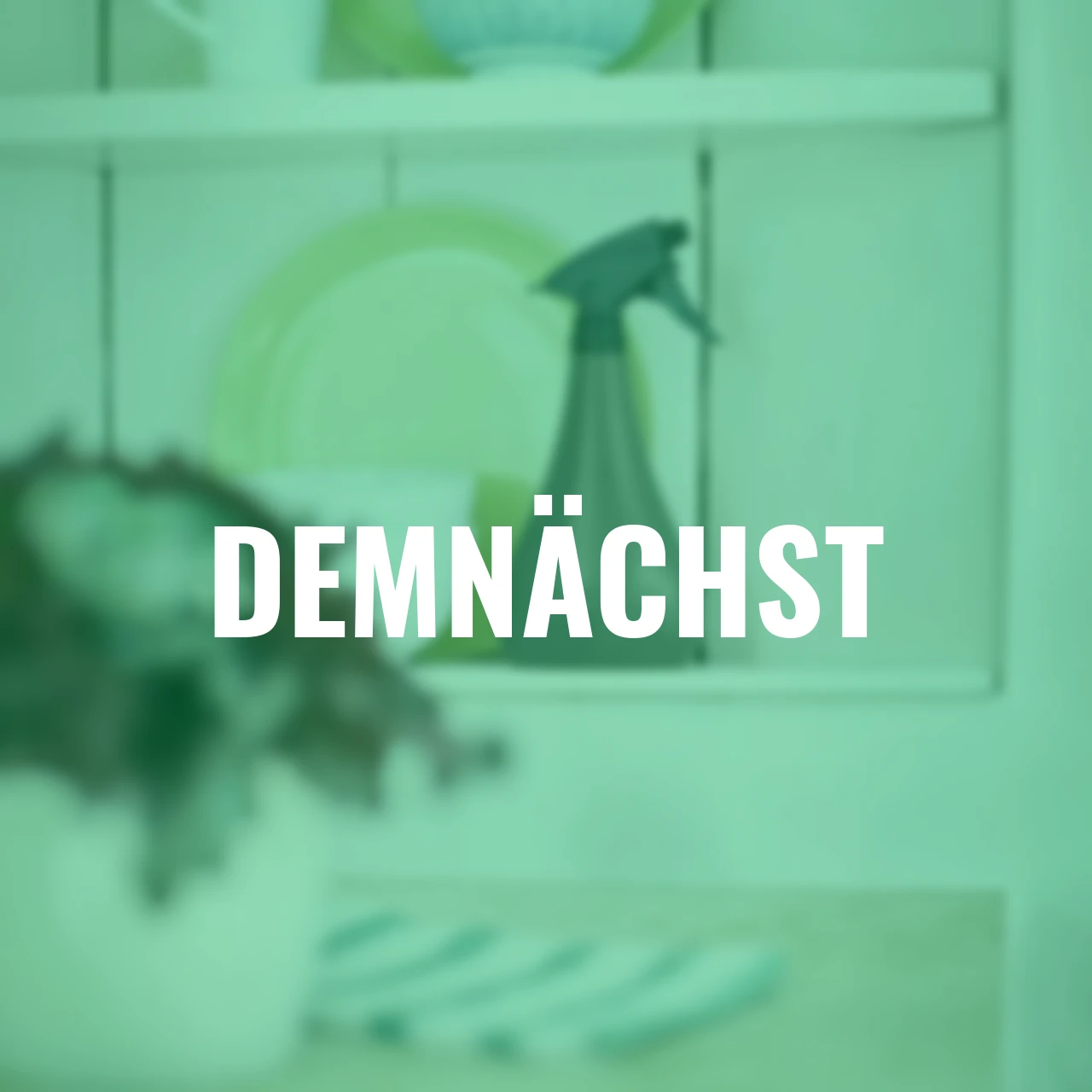 Pflanzensprüher Aquarius 0,7 L anthrazit