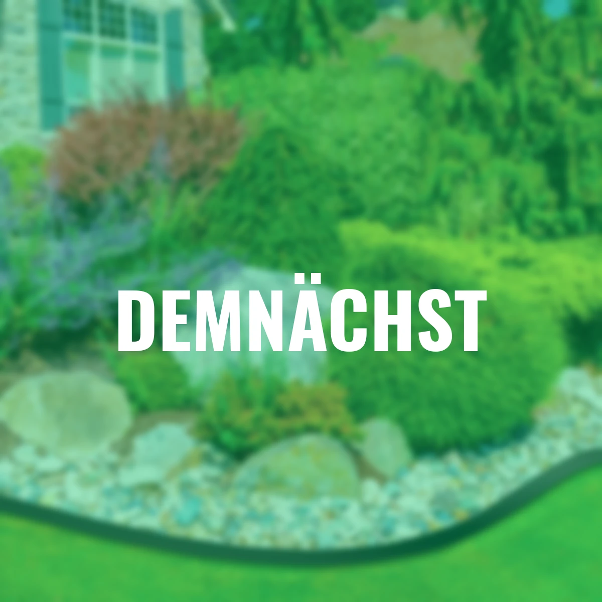 Premium Rasenkante taupe, 600 cm