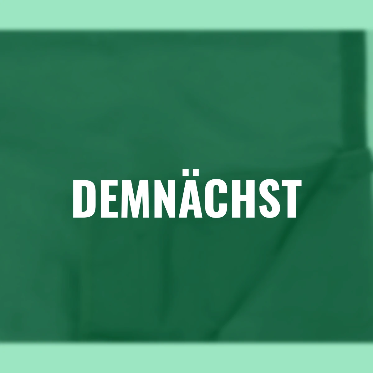 Hunde Kofferraumschutz, schwarz, 155x104x33 cm