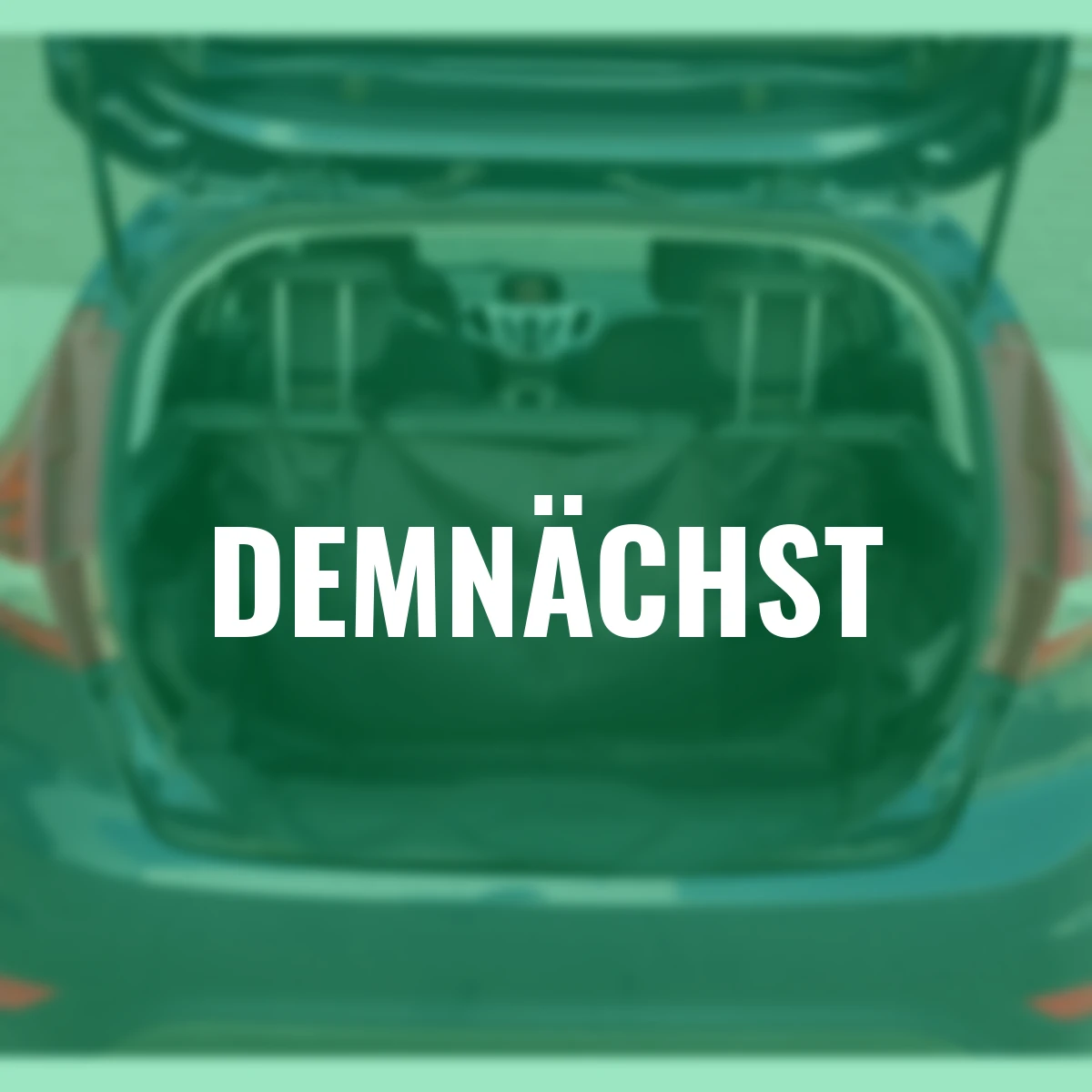 Hunde Kofferraumschutz, schwarz, 155x104x33 cm