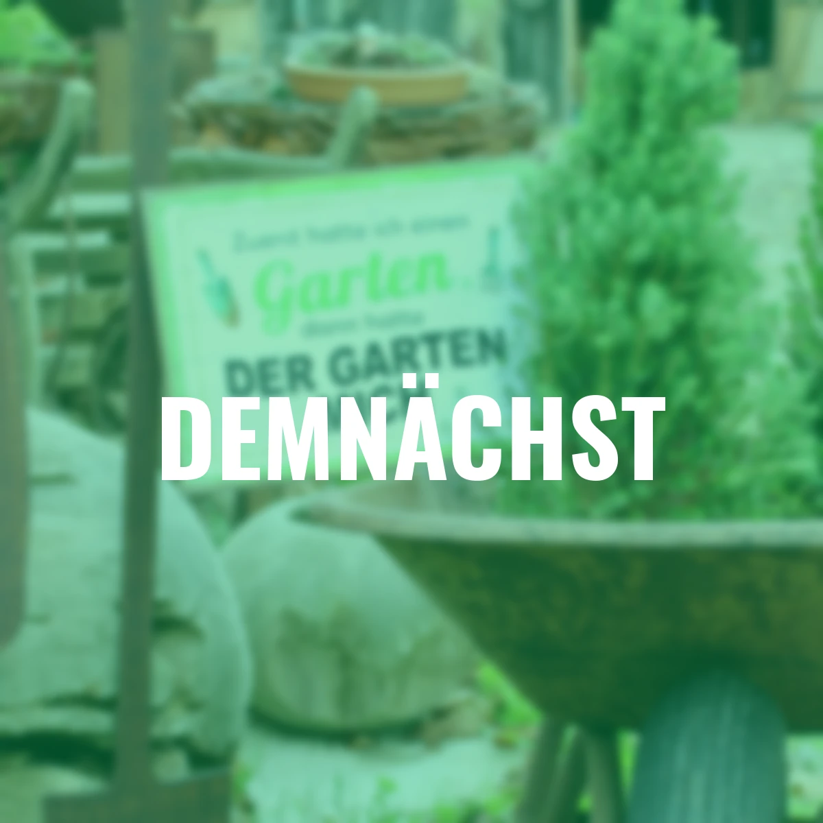 Metall-Schild, Zuerst hatte ich... weiß/grün